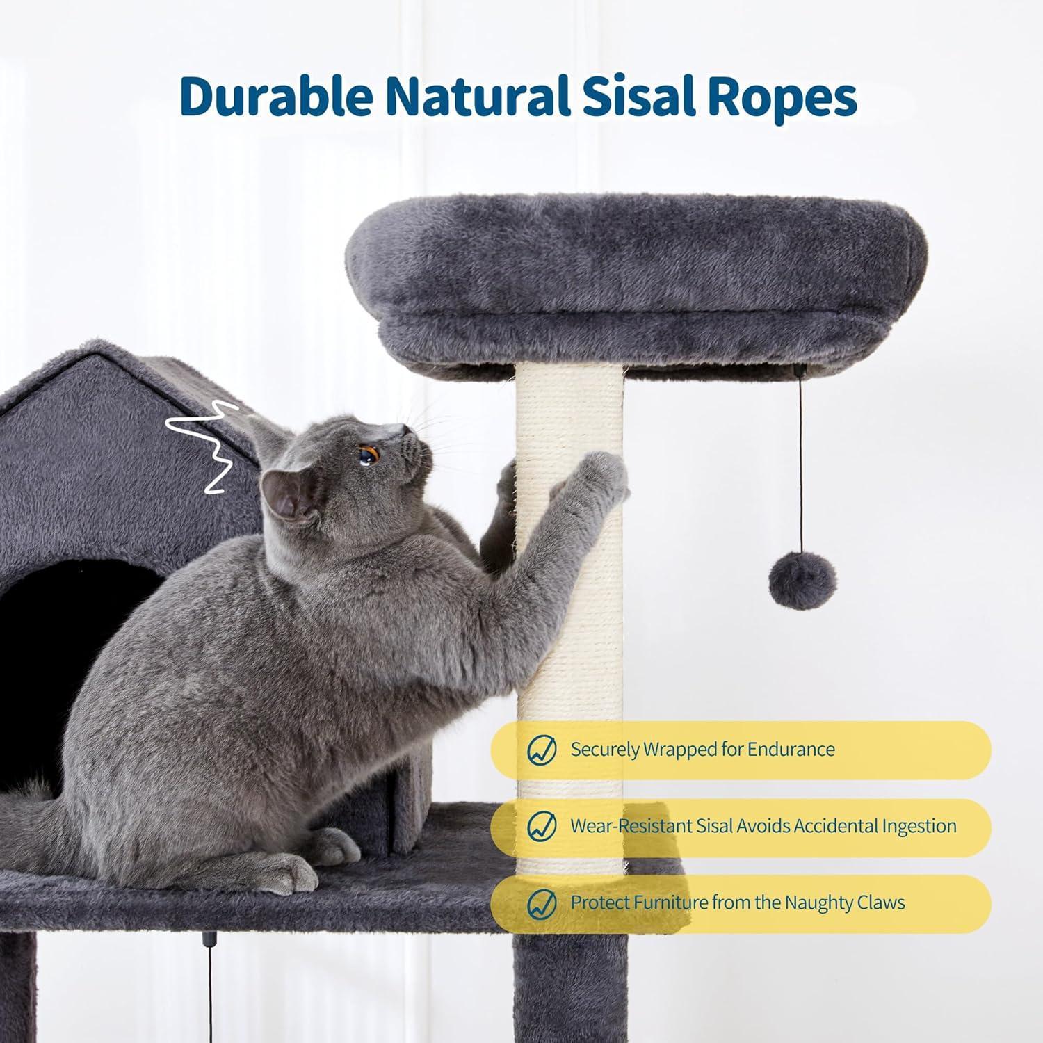60 Inches Cat Climbing Tree