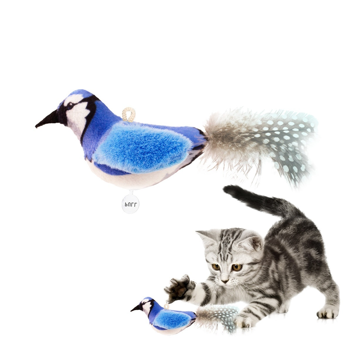 Bird Simulation Cat Toy