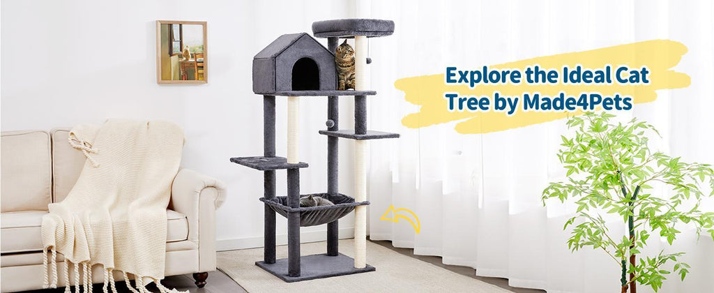 60 Inches Cat Climbing Tree