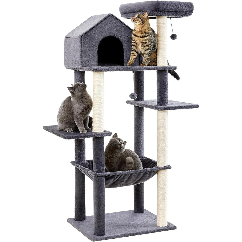 60 Inches Cat Climbing Tree