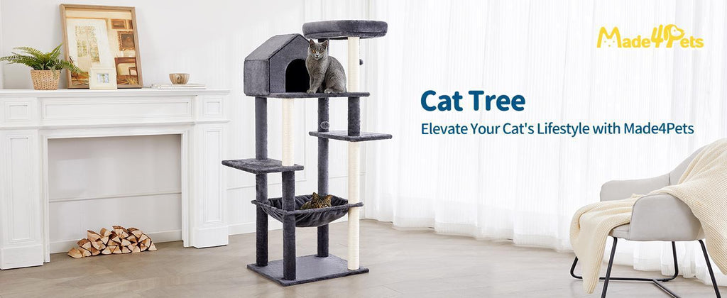 60 Inches Cat Climbing Tree