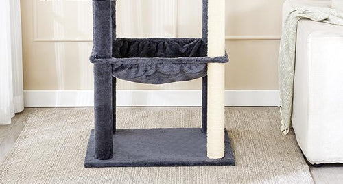 60 Inches Cat Climbing Tree